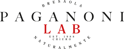 Logo Paganoni Lab